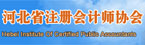 河北省注册会计师协会